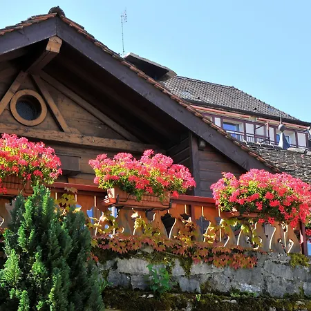 La Verniaz Et Ses Hotel Évian-les-Bains